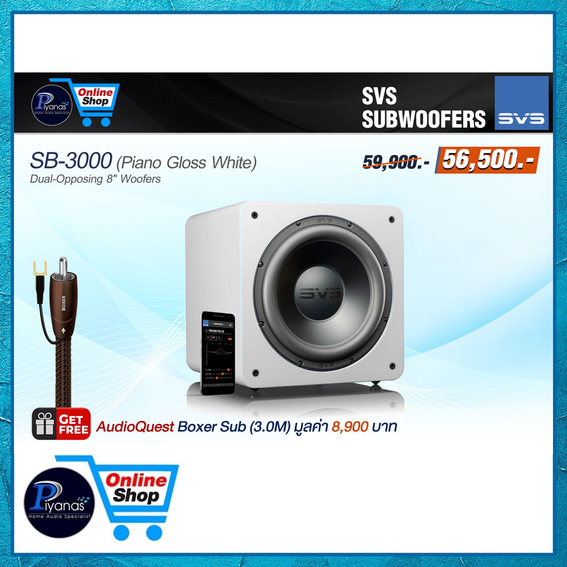 ซับวูฟเฟอร์ SVS : SB-3000 (PIANO GLOSS WHITE)_5